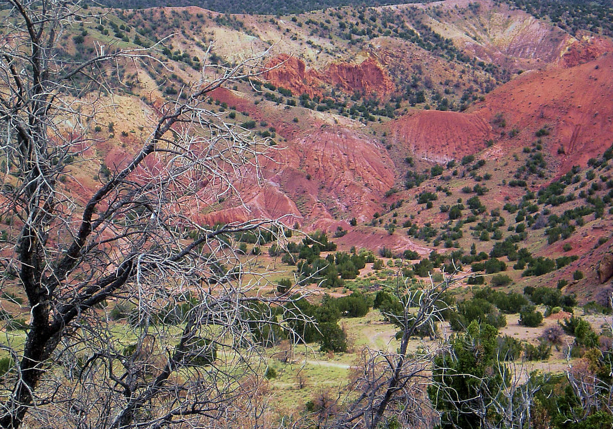 New Mexico valley
