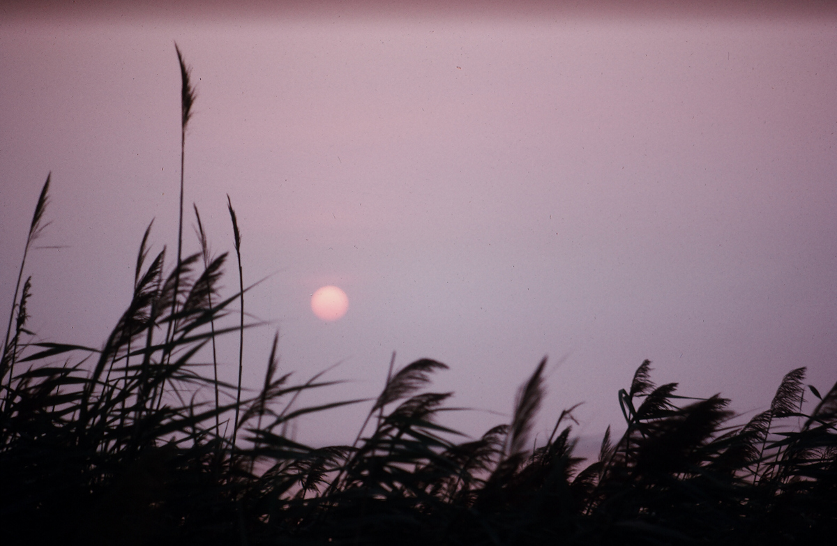 Sunset on Fire Island #1