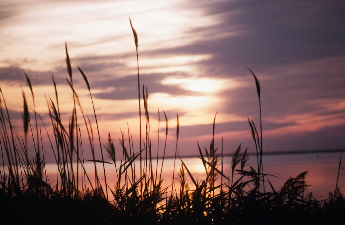 Sunset on Fire Island #2